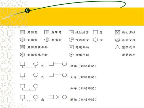 家庭關係分析|家系圖怎麼畫？多種方法來教你！